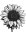 Pflanzen